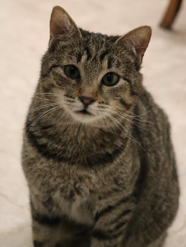 Niki (Inizio 2024) Splendido Esserino